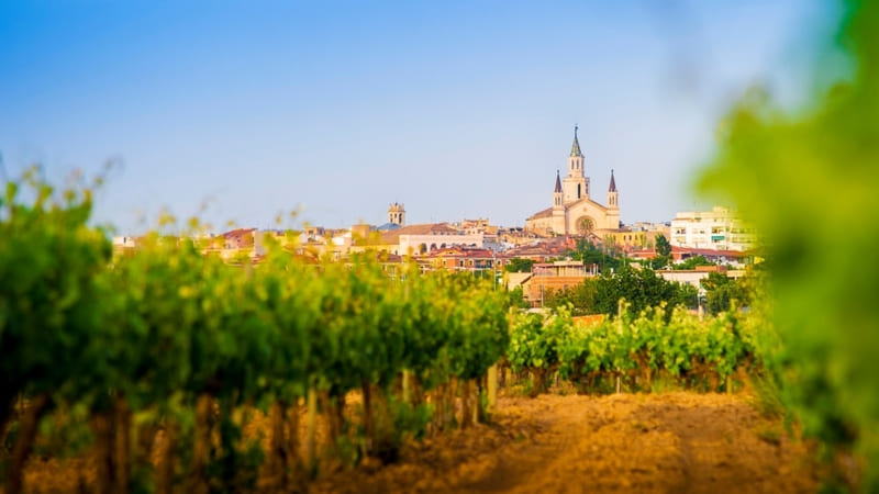 Lotes de Navidad Vilafranca del Penedès