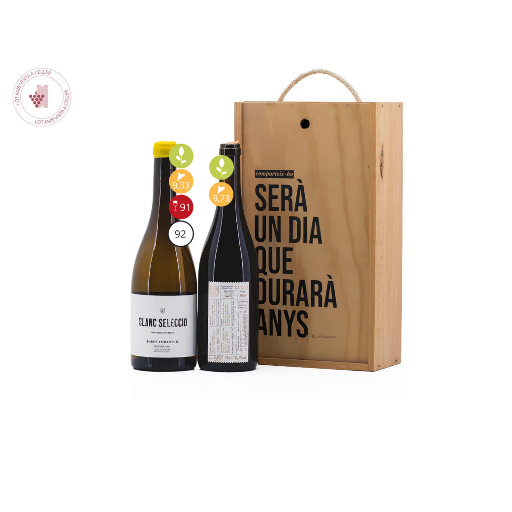 Regalo Gastronómico, Comparteix 203, regalo de empresa, reglo clientes, detalle botellas de vino, regalo gastronomico con experiencia