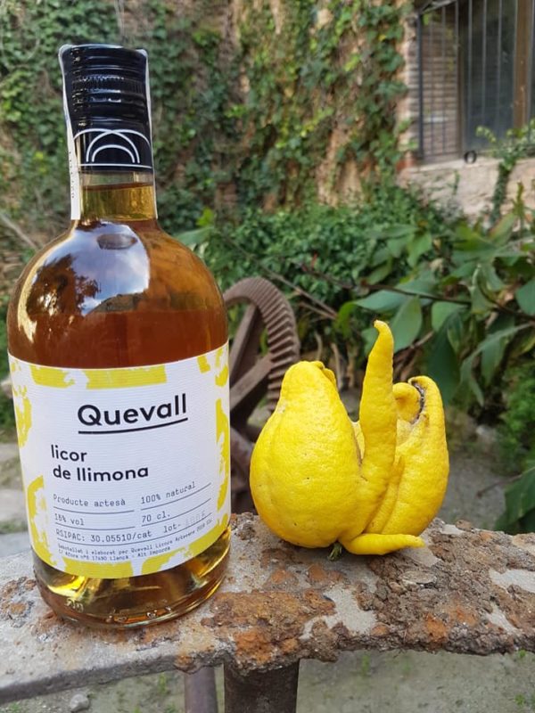 Licor de limona català