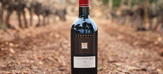 Vino tinto Avgvstvs Cabernet Sauvignon vinos catalanes