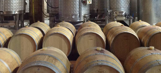 Celler Cara Nord