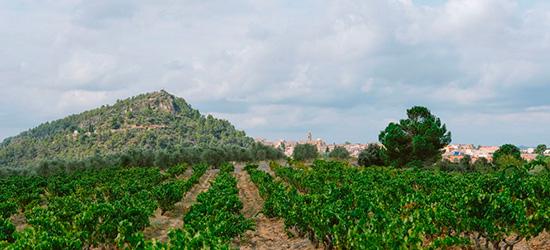 Vendrell Rived