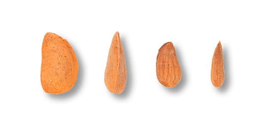 Nutstrum, productors locals