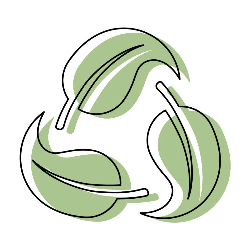 Fulles producte ecològic
